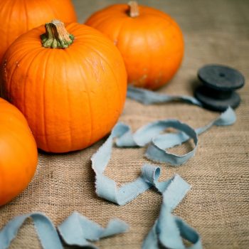 four pumpkins with blue ribbon