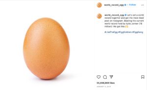 Brown egg World Record egg Instagram post